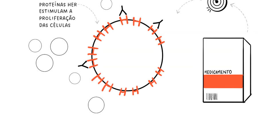 Ilustração da terapia anti her