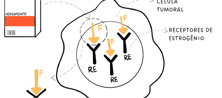 Ilustração sobre degradador de receptor de estrogênio