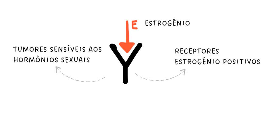 Ilustração de como funcionam as terapias hormonais